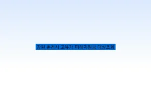 강원 춘천시 고유가 피해지원금 대상조회