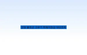 강원 홍천군 고유가 피해지원금 대상조회