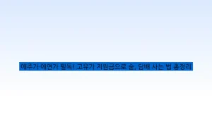 애주가·애연가 필독! 고유가 지원금으로 술, 담배 사는 법 총정리