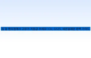 집 앞 편의점에서 고유가 지원금 쓰세요! CU, GS25, 세븐일레븐 완벽 가이드