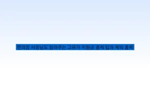 편의점 사장님도 알려주는 고유가 지원금 결제 팁과 제외 품목