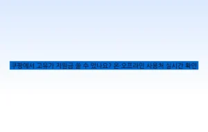 쿠팡에서 고유가 지원금 쓸 수 있나요? 온·오프라인 사용처 실시간 확인