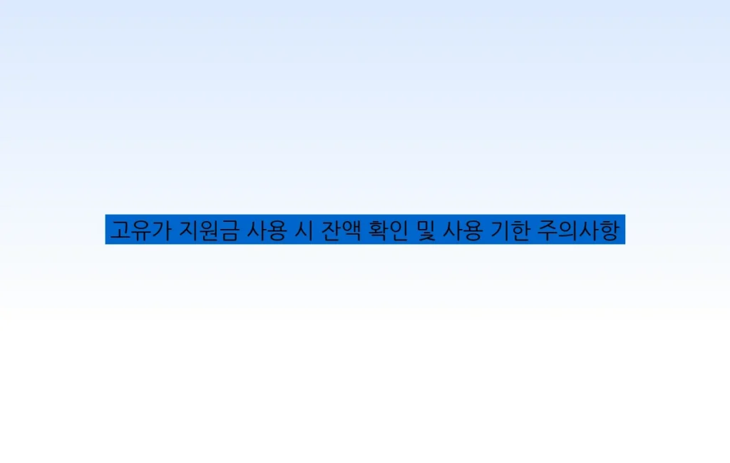 고유가 지원금 사용 시 잔액 확인 및 사용 기한 주의사항