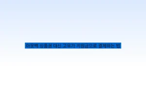 아웃백 상품권 대신 고유가 지원금으로 결제하는 법