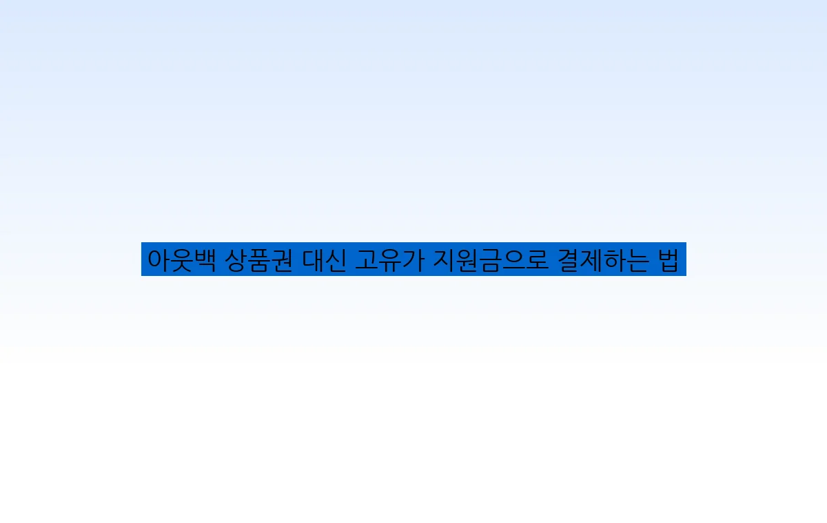 아웃백 상품권 대신 고유가 지원금으로 결제하는 법