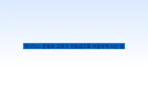 아디다스 운동화 고유가 지원금으로 저렴하게 사는 법