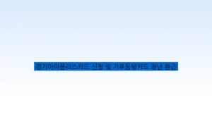 경기아이플러스카드 신청 및 기후동행카드 청년 환급