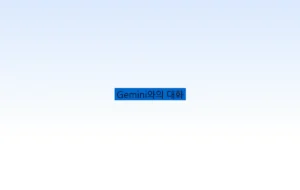 Gemini와의 대화