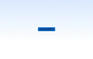 국민성장펀드