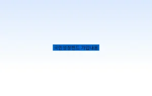 국민성장펀드 가입내용