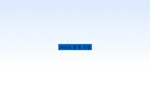 zfn04 중계 시청