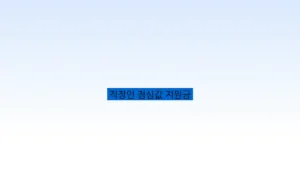 직장인 점심값 지원금
