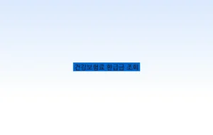 건강보험료 환급금 조회