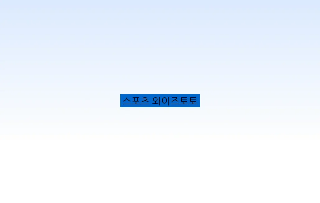 스포츠 와이즈토토