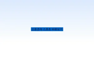 스포조이 스포츠 바로보기